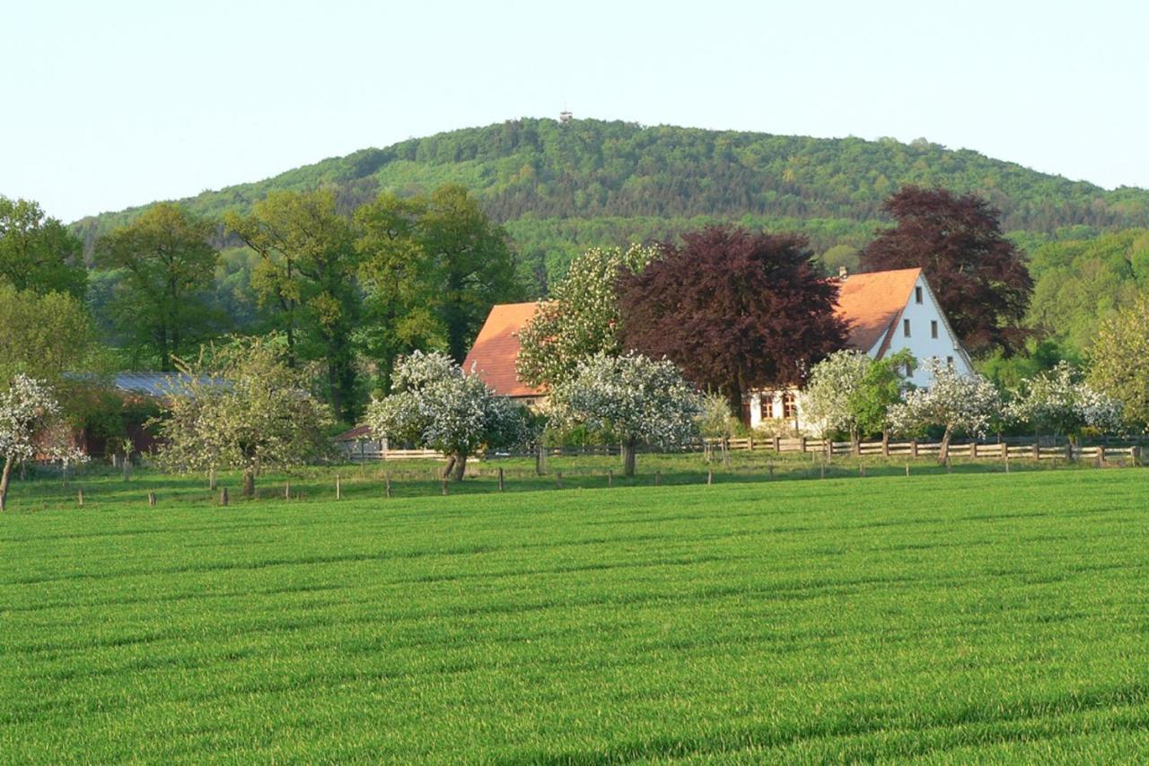 Ferienwohnung An Der Obstwiese Borgholzhausen Luaran gambar